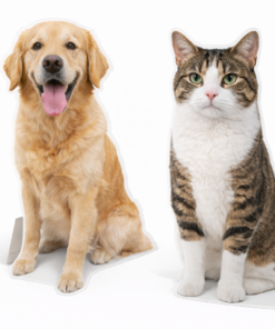 Pet Cutouts