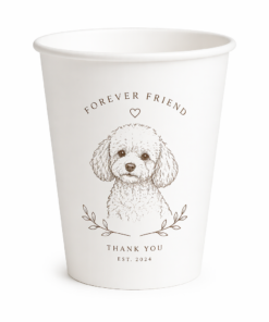 Paper Cup